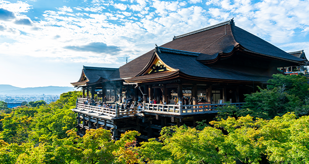 清水寺育林事業